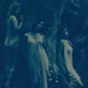 Meet your Posher, Bronwyn